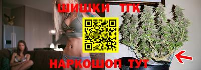 тгк Камышлов