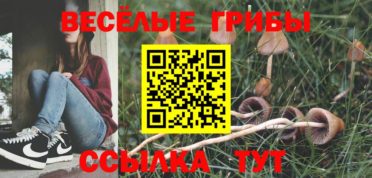 МЕФ Лабытнанги